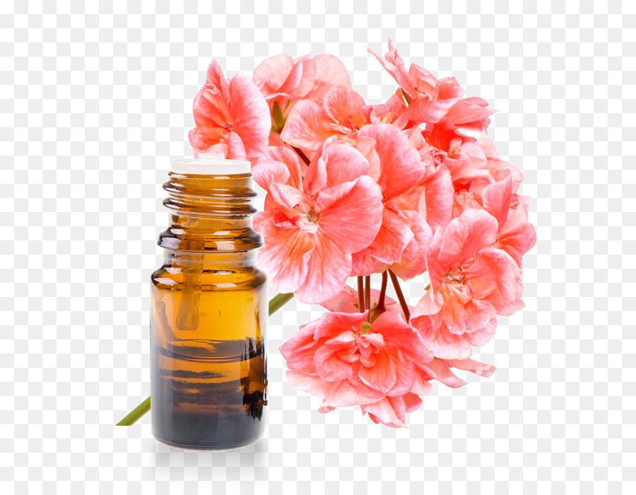 Attar Altın Serisi - Haremeyn Esansı 3 Ml
